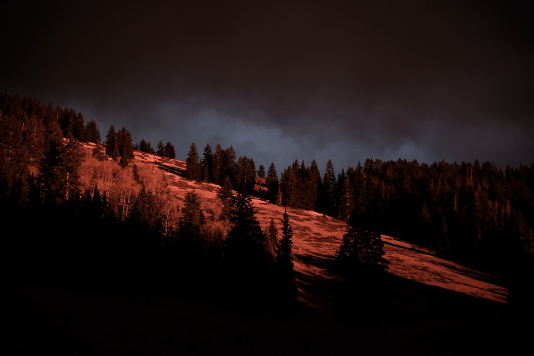 Photo landscape lighting